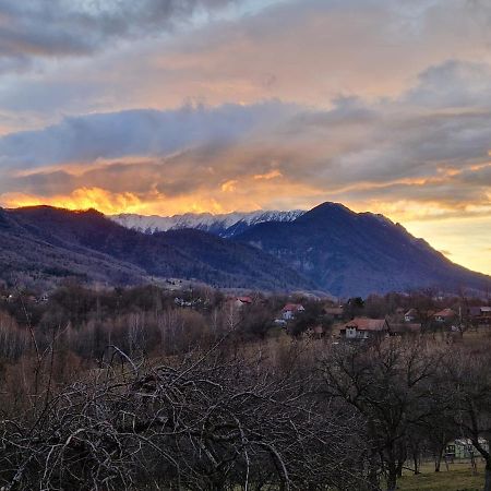 Bran Hill Villa Kültér fotó