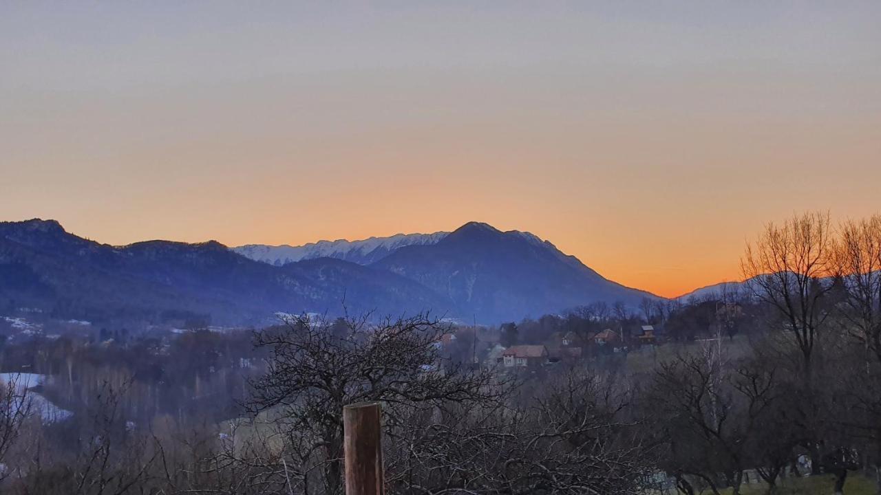 Bran Hill Villa Kültér fotó