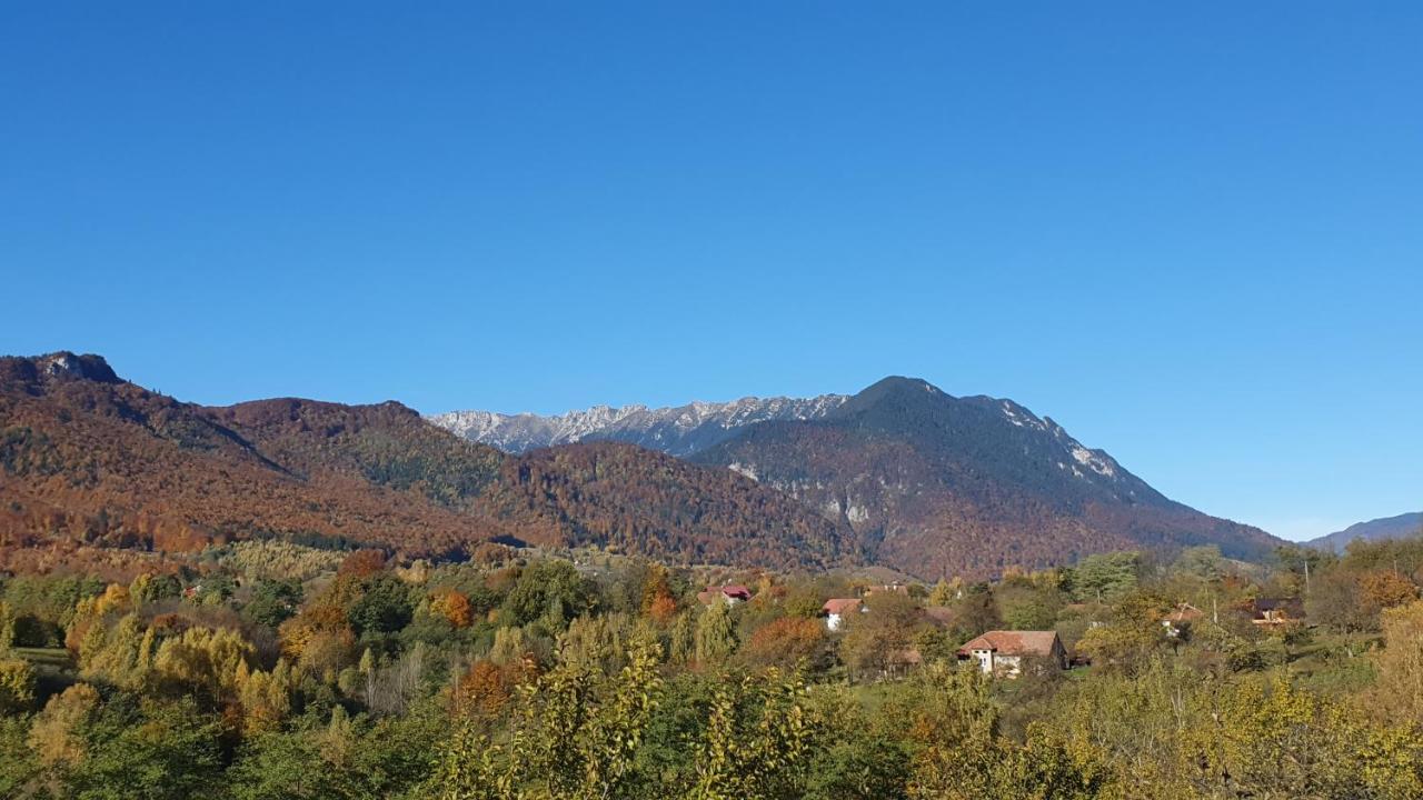 Bran Hill Villa Kültér fotó