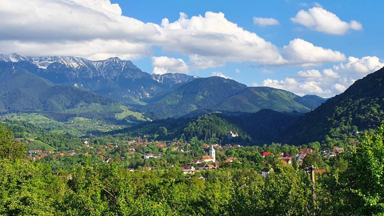 Bran Hill Villa Kültér fotó