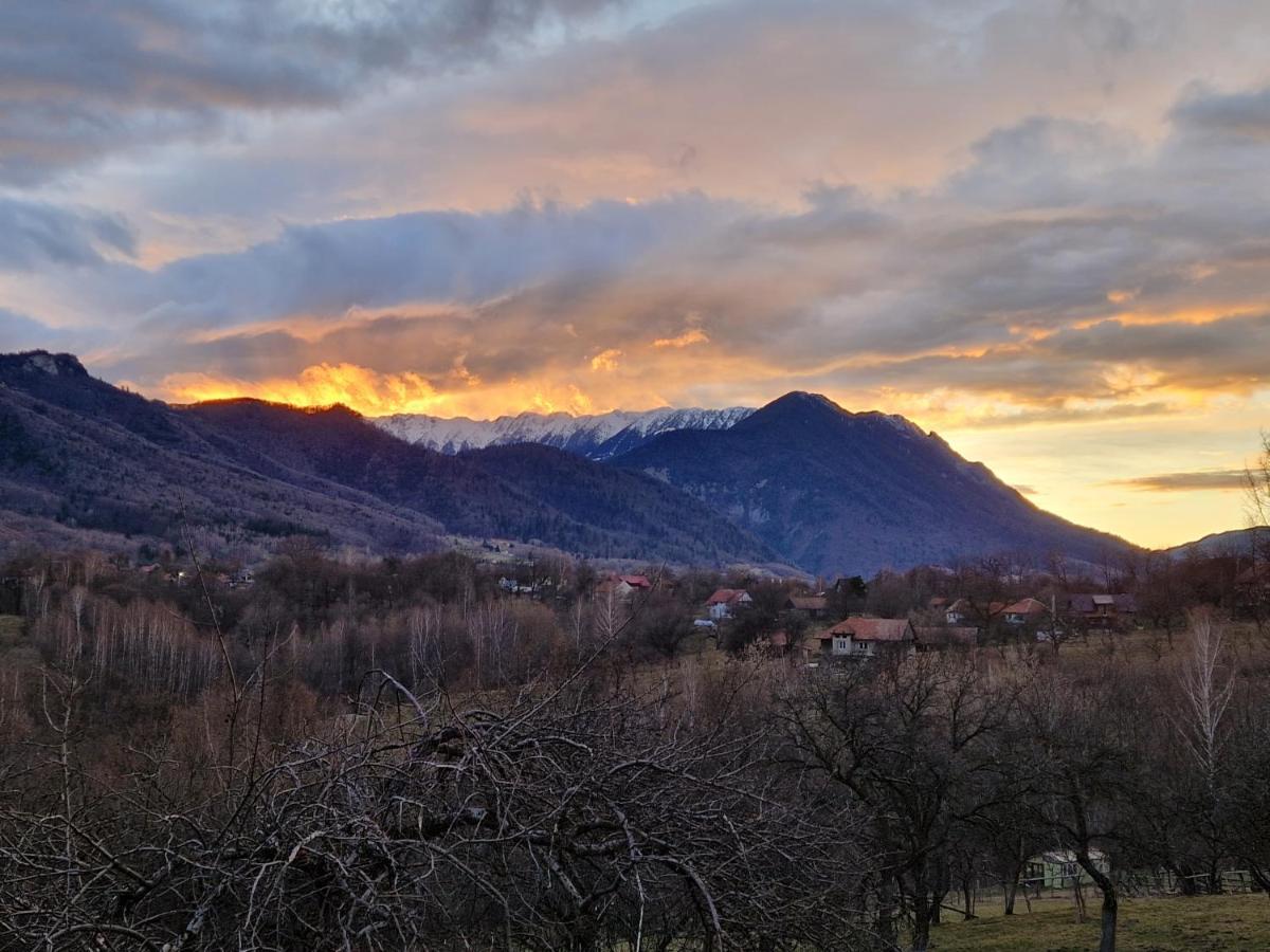 Bran Hill Villa Kültér fotó